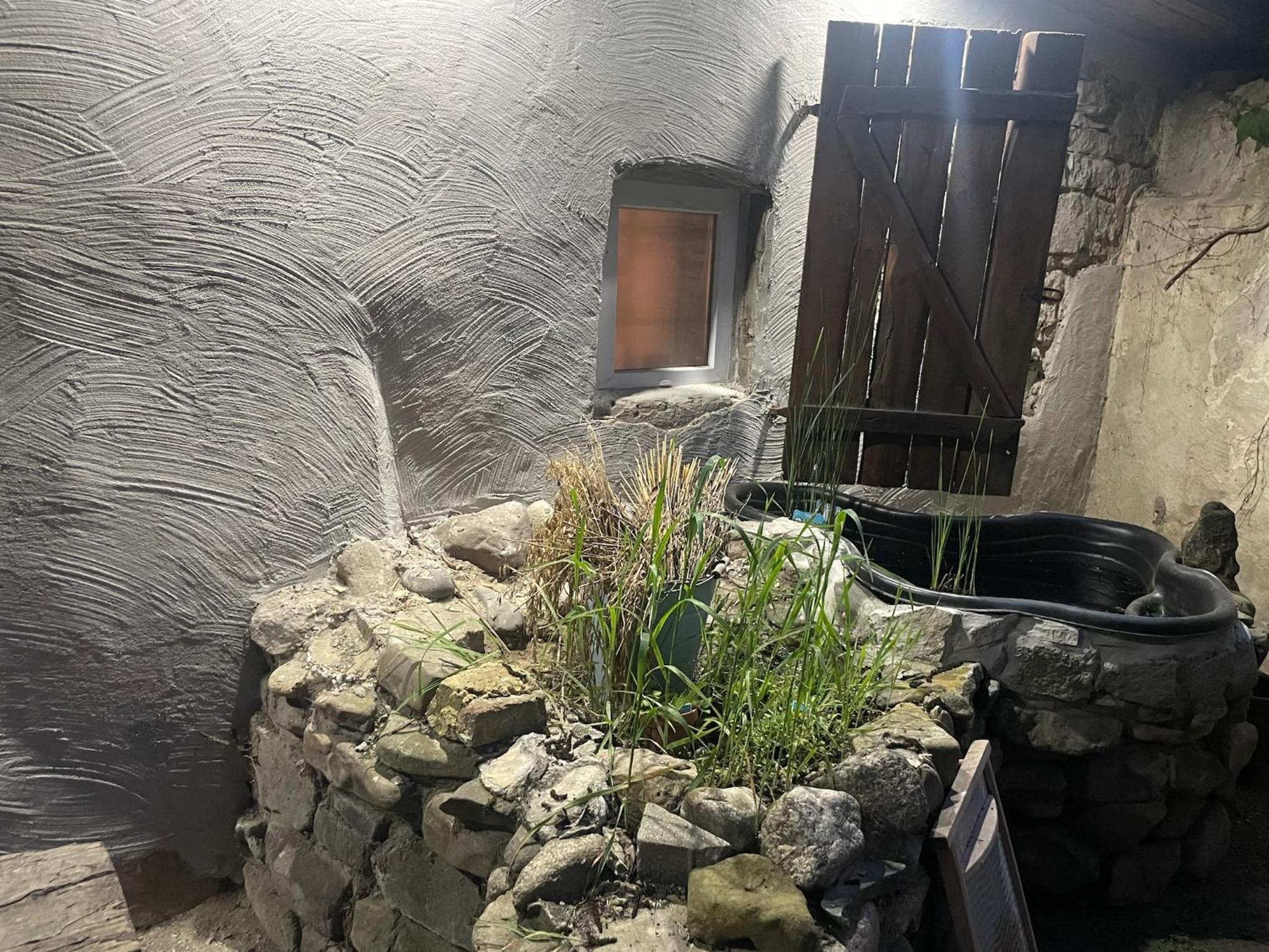 Harzhotel Warnstedter Krug Thale Extérieur photo