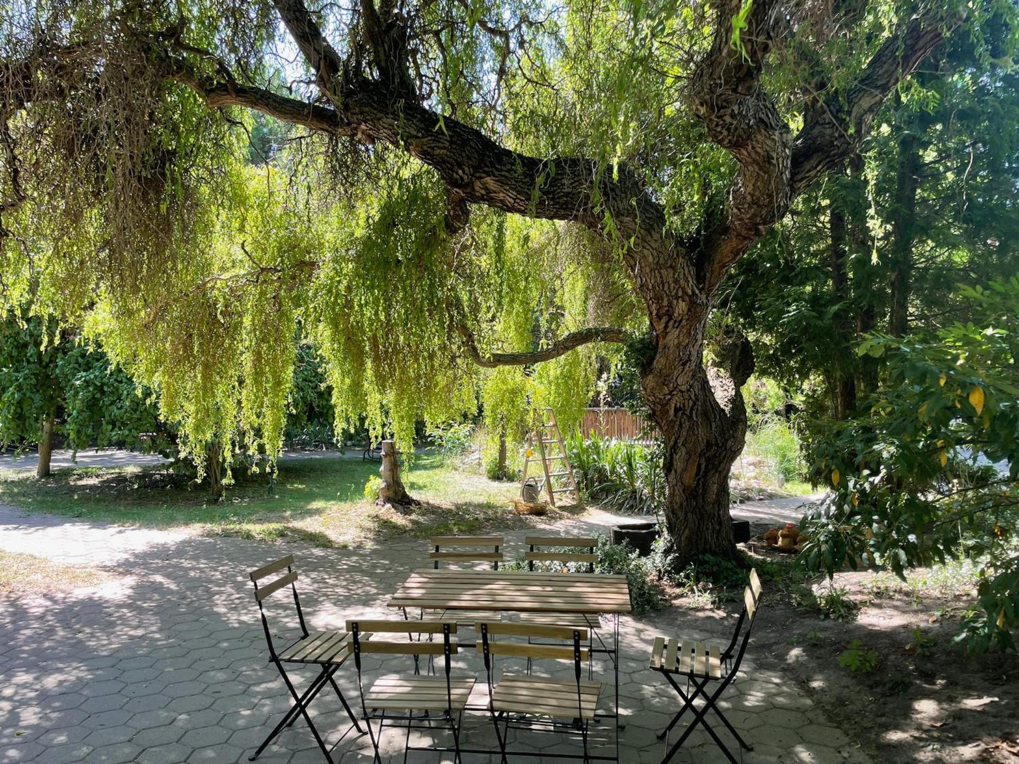 Harzhotel Warnstedter Krug Thale Extérieur photo