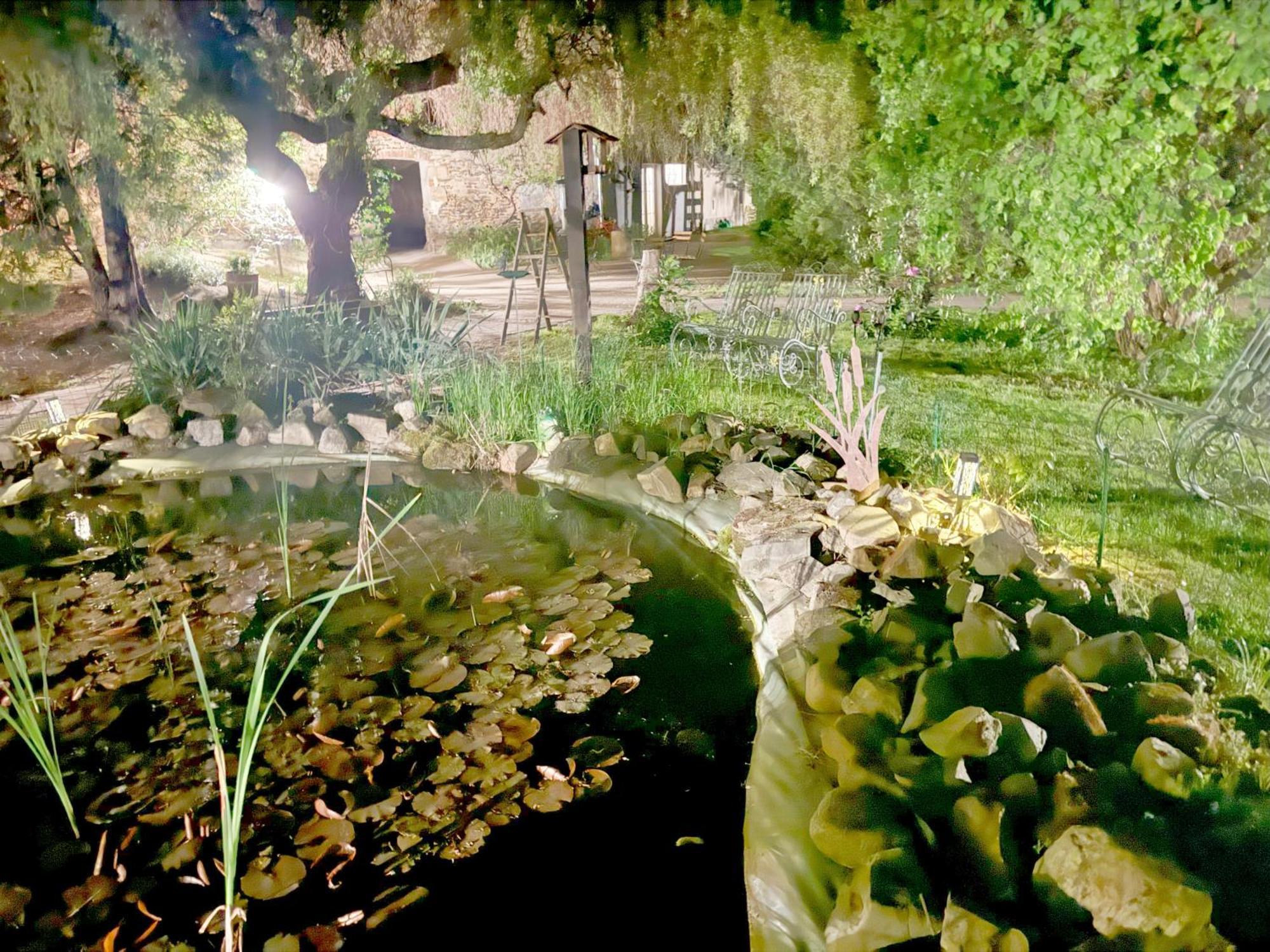 Harzhotel Warnstedter Krug Thale Extérieur photo
